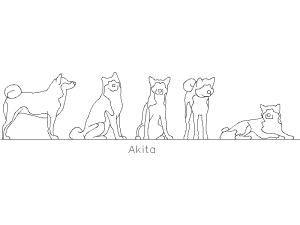 Descargar Akita AutoCAD DWG Gratis – Bloque 2D Canino