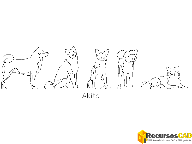 Conjunto-Akita