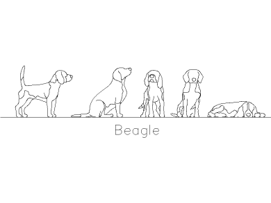 Los beagle