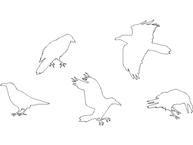 Bloques AutoCAD cuervos DWG