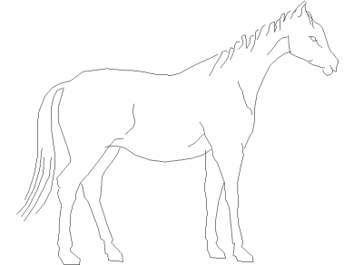 caballo