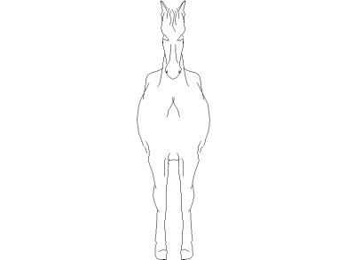 Caballo