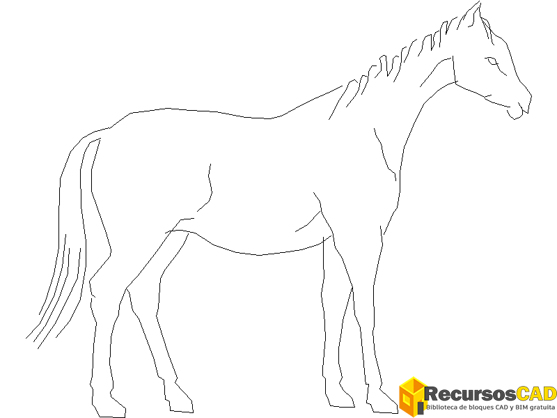 caballo