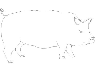 cerdo