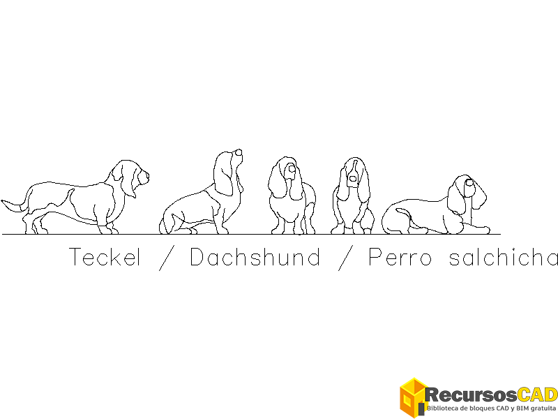 conjunto-Perro-salchicha