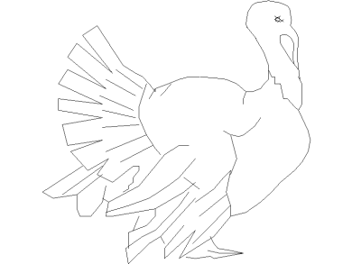 Pavo