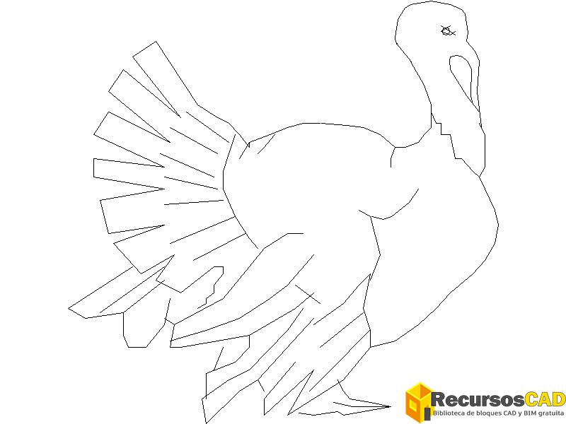 Pavo
