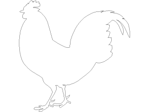 Descargar Gallo AutoCAD DWG Gratis – Animales Granja 2D