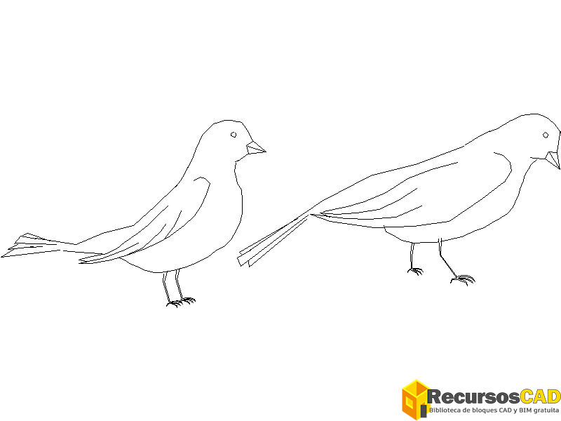 pajaros