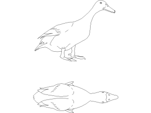 Dibujo de pato en formato DWG para AutoCAD