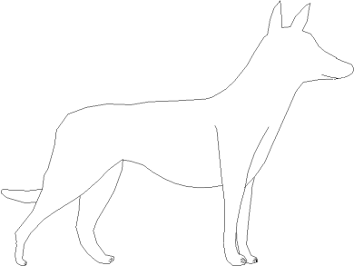 perro-1
