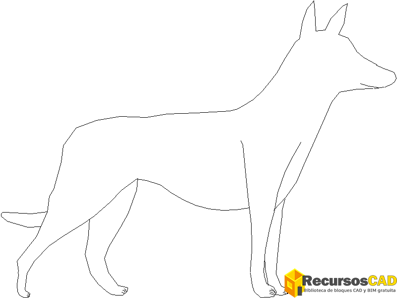 perro-1