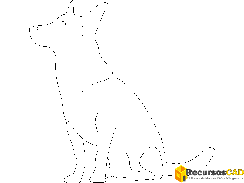 perro-2