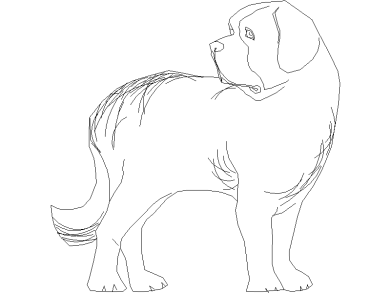 perro-3