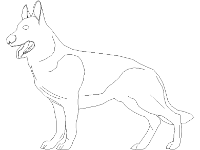 perro-8
