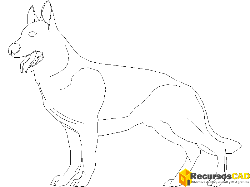 perro-8
