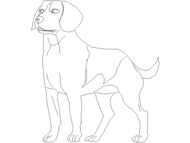 perro-9