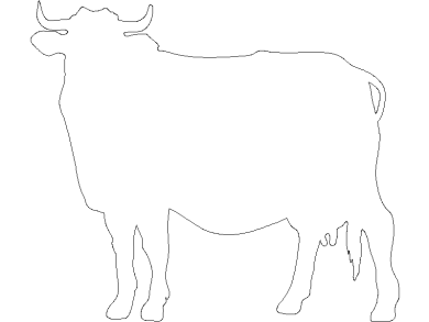 vaca