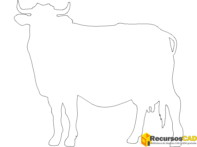 vaca