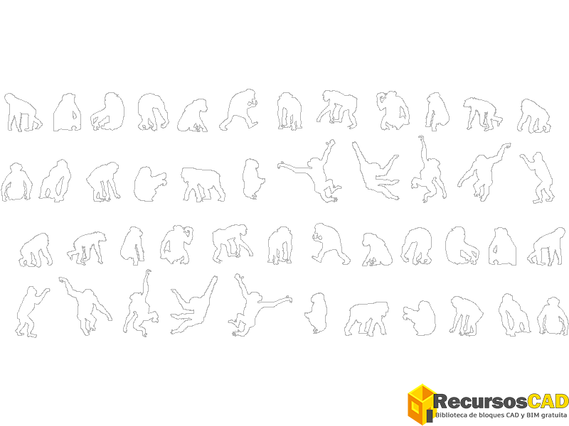 Chimpances