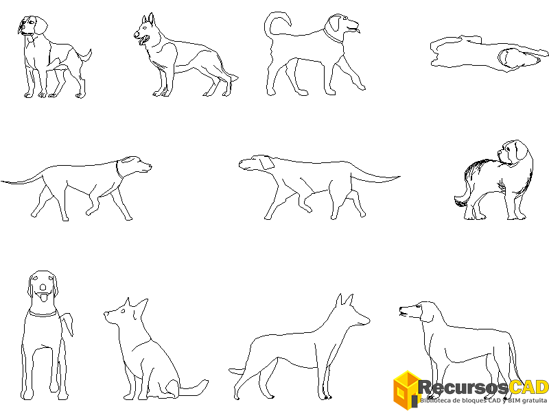 Perros