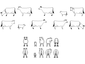 Descargar Vacas AutoCAD DWG Gratis – Bloques Ganaderos 2D