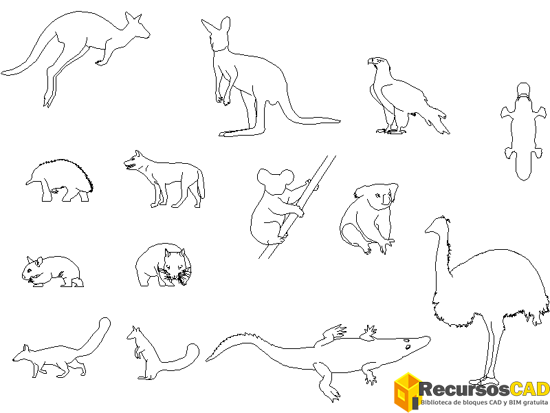 Grupo de animales australianos