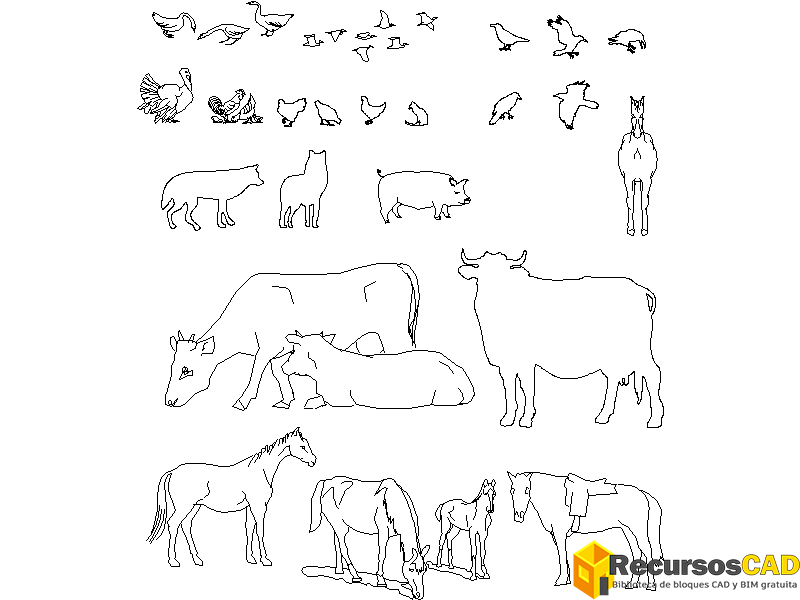 conjunto de animales 2