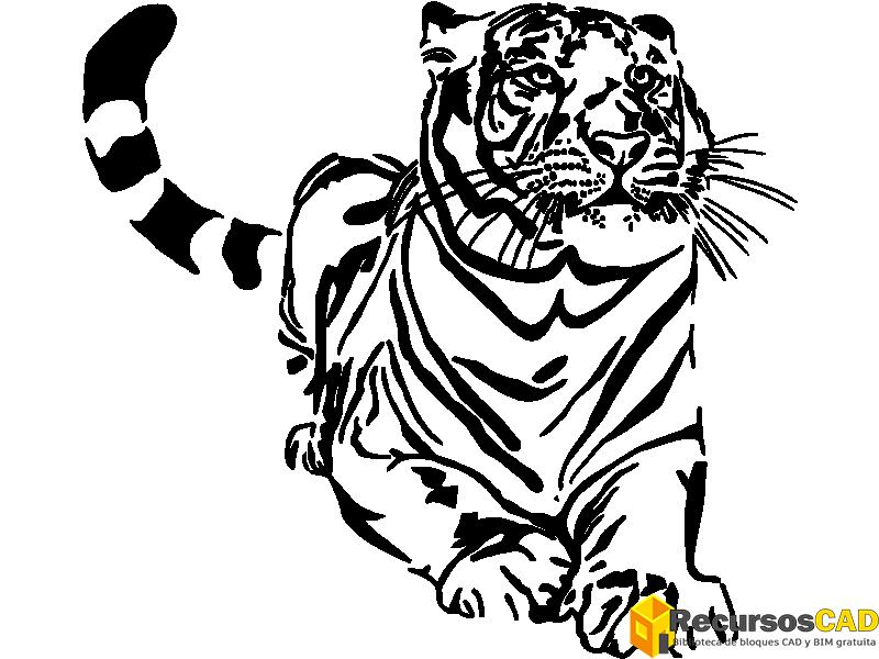 TIGRE en dwg