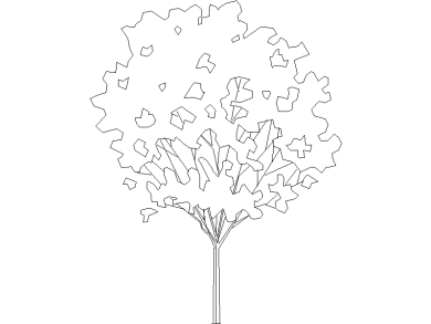 Bloques DWG de Árboles y Plantas en Vistas Alzado