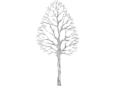 Bloques DWG de Árboles en alzado