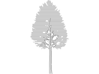 Bloques DWG de Árboles en alzado