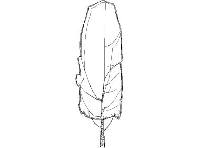 Bloques DWG de Árboles en alzado