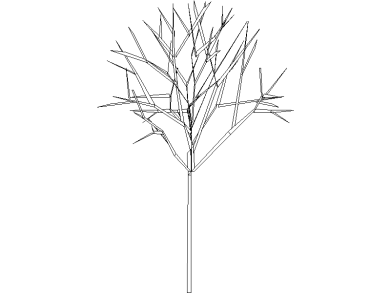 Bloques DWG de Árboles en alzado