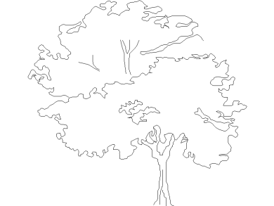 Bloques DWG de Árboles en alzado