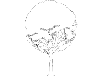 Bloques DWG de Árboles en alzado