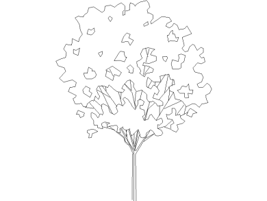 Bloques DWG de Árboles en alzado