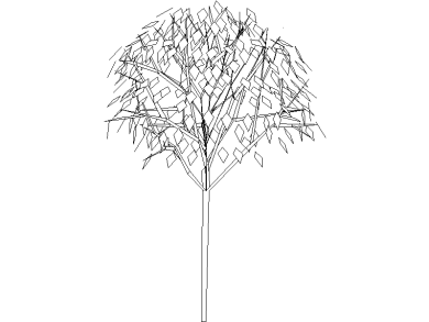 Bloques DWG de Árboles en alzado