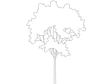 Bloques DWG de Árboles en alzado