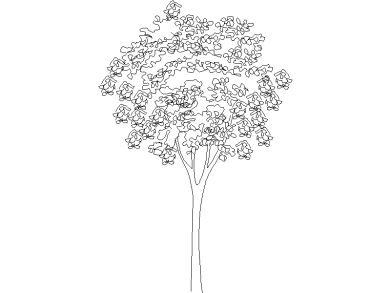 Bloques DWG de Árboles en alzado