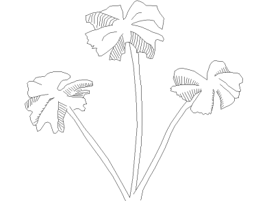 Bloques DWG de Árboles en alzado