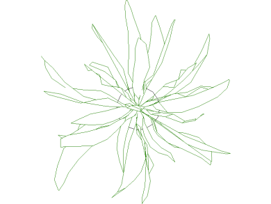 Bloques DWG de Árboles, Plantas y Arbustos en Vista Superior en planta