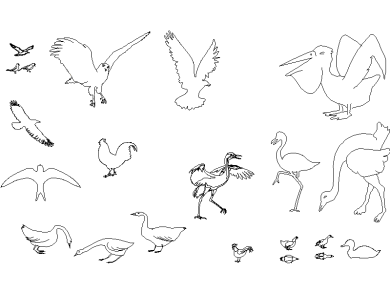 Aves en formato DWG