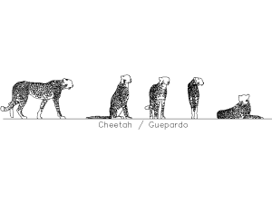 Guepardo en alzado lateral descarga DWG