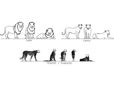 León, leona y guepardo