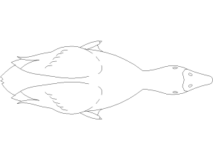 pato - descarga bloques DWG gratis para AutoCAD