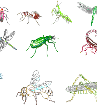 Insectos en DWG