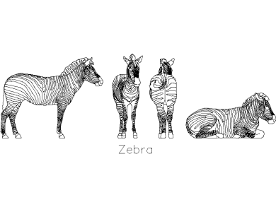 zebras en dwg