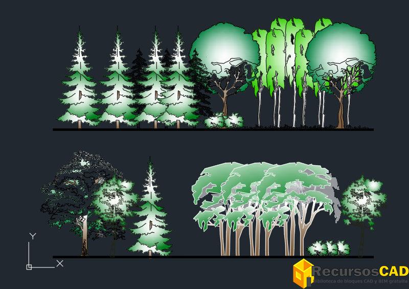 Descargar Bloques DWG De Palmeras rboles Hierbas Y Arbustos A Color descargar-bloques-dwg-de-palmeras-rboles-hierbas-y-arbustos-a-color