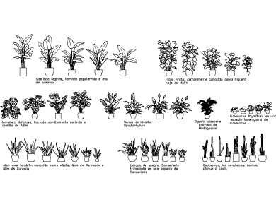 Bloques AutoCAD Plantas en maseta DWG, AutoCAD en alzado o vista frontal